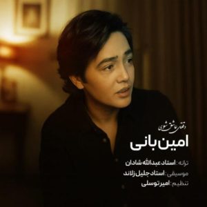دانلود آهنگ امین بانی وقتی عاشق شوی