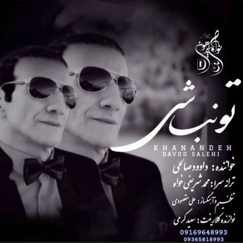 دانلود آهنگ داوود صالحی تو نباشی